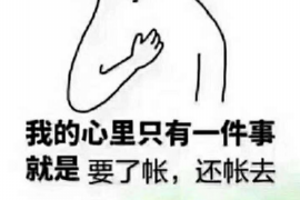 长丰债务清欠服务